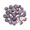 Natural Lepidolite Beads G-G348-01A-18-1
