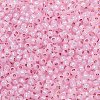 TOHO 11/0 Round Beads SEED-XTR11-PF2105-2