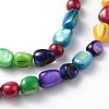Natural Shell Beads Strands BSHE-D004-7-3