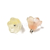 Glass Charms GLAA-G127-03-2