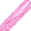 Natural Freshwater Shell Dyed Beads Strands SHEL-M018-12-10-1
