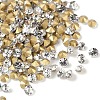 Glass Pointed Back Rhinestone RGLA-PP13-01B-1