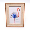 Plastic Display Photo Frame AJEW-WH0241-08-1