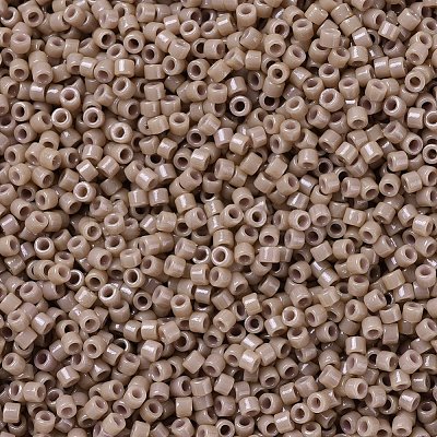 MIYUKI Delica Beads X-SEED-J020-DB2105-1