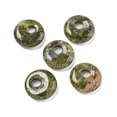 Natural Unakite Donut/Pi Disc Charms G-G142-02A-1