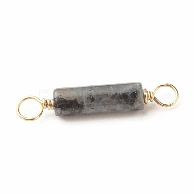 Natural Larvikite Connector Charms PALLOY-JF01454-05-1