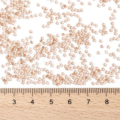 MIYUKI Round Rocailles Beads X-SEED-G009-RR1129-1