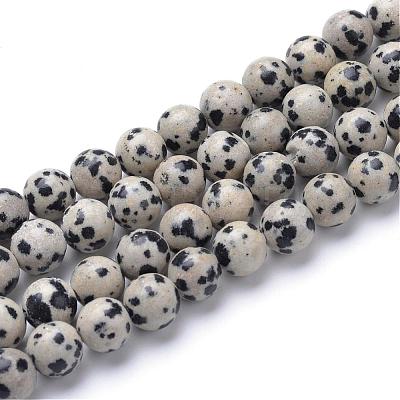Natural Dalmatian Jasper Bead Strands G-R345-10mm-51-1