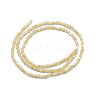 Shell Beads Strands G-A177-04-26-1