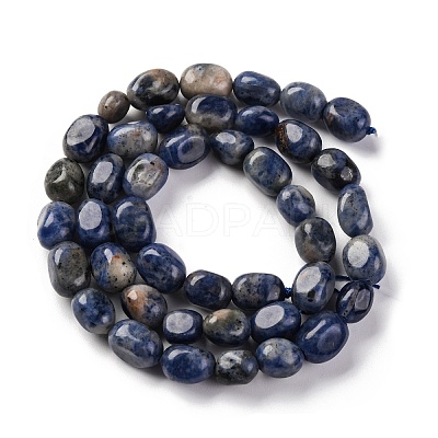 Natural Sodalite Beads Strands G-G146-A03-01-1