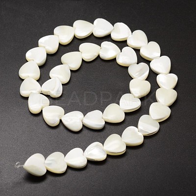Natural Trochid Shell/Trochus Shell Beads Strands SSHEL-K012-01-A-1
