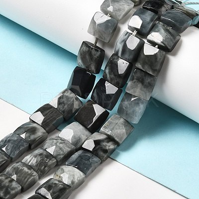 Natural Eagle Eye Stone Beads Strands G-G980-12-1