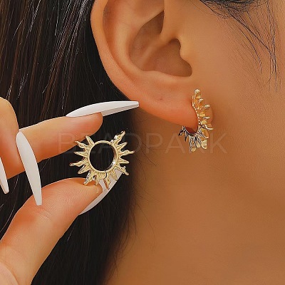 304 Stainless Steel and Brass Hoop Earrings FS-WG82045-17-1