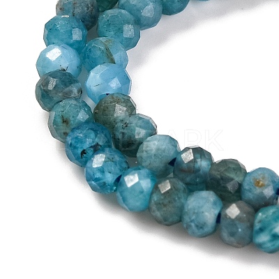 Natural Apatite Beads Strands X-G-F770-D09-02B-1