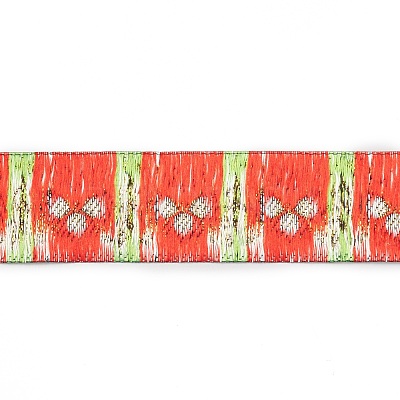 Ethnic Style Embroidery Polyester Ribbons OCOR-XCP0001-23A-1