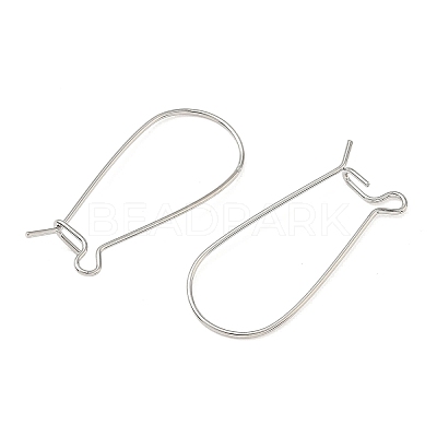 SHEGRACE Brass Kidney Ear Wire XGR0004P-43P-1
