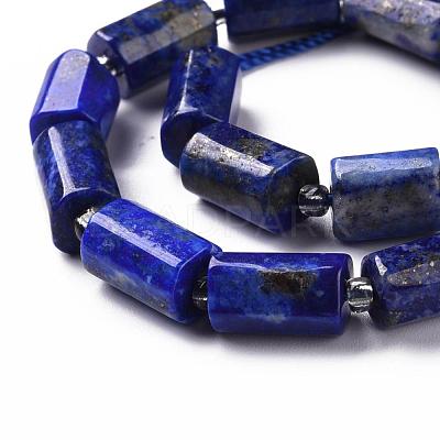 Natural Lapis Lazuli Beads Strands G-S345-8x11-002-1