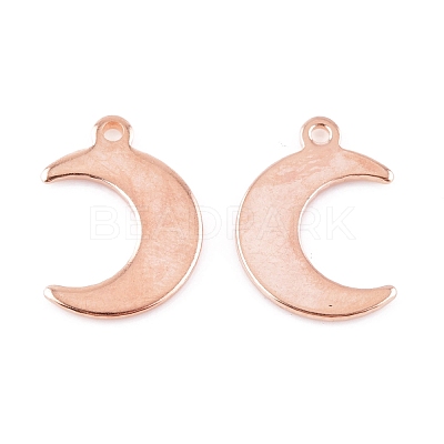 304 Stainless Steel Charms STAS-H557-31RG-1