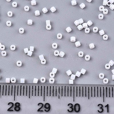 FGB 11/0 Grade A Baking Paint Glass Seed Beads X-SEED-S030-0401-1