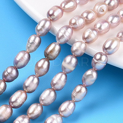 Natural Cultured Freshwater Pearl Beads Strands PEAR-N012-05P-1