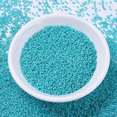 MIYUKI Delica Beads SEED-X0054-DB0658-1