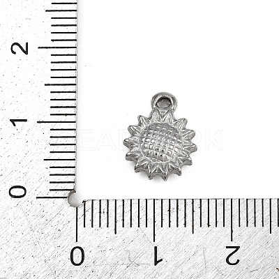 304 Stainless Steel Charms LS-STAS-G363-12P-1