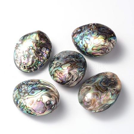 Oval Natural Paua Shell Beads SSHEL-E562-01-1