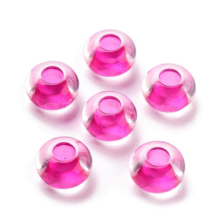 Transparent Acrylic European Beads TACR-P009-C01-06-1