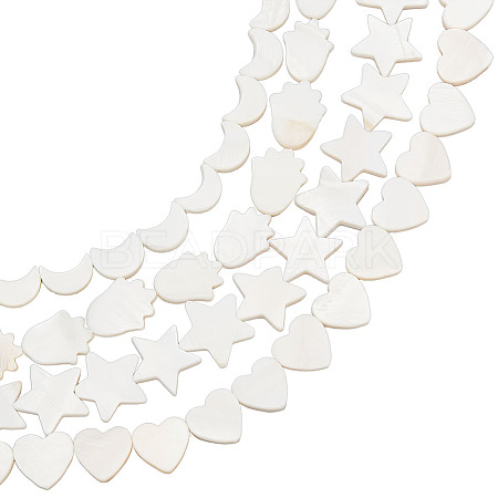 4 Strands 4 Styles Natural Freshwater Shell Beads Strands SHEL-BC0001-032-1