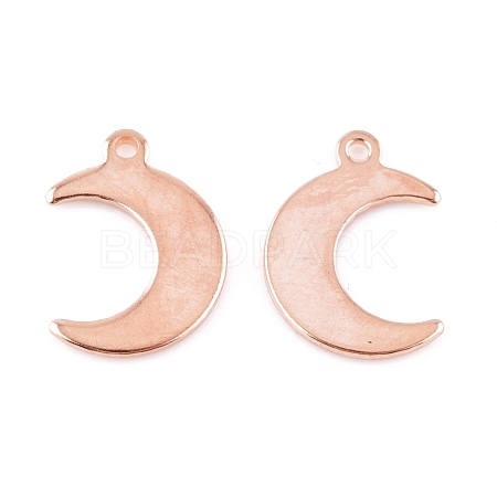 304 Stainless Steel Charms STAS-H557-31RG-1