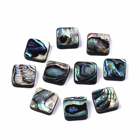 Natural Abalone Shell/Paua Shell Beads SSHEL-T014-12B-1