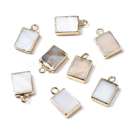 Natural Freshwater Shell Charms SHEL-N026-147-1