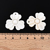 Natural Freshwater Shell Carved Pendants SHEL-N036-13-3