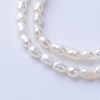 Natural Cultured Freshwater Pearl Beads Strands X-PEAR-S010-14-1