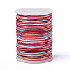 Segment Dyed Polyester Thread NWIR-I013-A-02-1