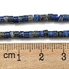 Natural Lapis Lazuli Beads Strands G-C084-D12-02-5