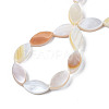 Natural Freshwater Shell Beads Strands SHEL-Q024A-017-2