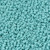 MIYUKI Delica Beads SEED-MY11-DB1586-3
