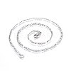 304 Stainless Steel Figaro Chain Necklaces STAS-L221-31P-2