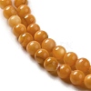 Natural Freshwater Shell Beads Strands SHEL-H003-03E-3
