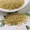 MIYUKI Delica Beads SEED-J020-DB0042-1