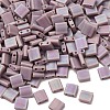 MIYUKI TILA Beads X-SEED-J020-TL410FR-4