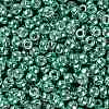 TOHO Round Seed Beads X-SEED-TR08-0561-2