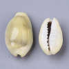 Natural Cowrie Shell Beads X-SSHEL-N034-C-26-3
