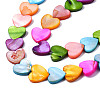 Natural Freshwater Shell Beads Strands X-SHEL-S278-024B-3