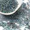 Glass Seed Beads SEED-H002-A-A626-1