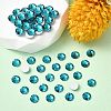 Preciosa® MAXIMA Crystal No Hotfix Flatback Stones Y-PRC-NSS6-60230-2