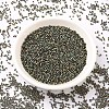 MIYUKI Delica Beads SEED-X0054-DB0024-2