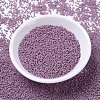 MIYUKI Delica Beads X-SEED-J020-DB0800-2