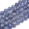 Natural Iolite Beads Strands G-O171-07-8mm-1